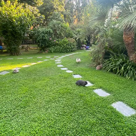 Angelina Homes I Casa Limone I 5 Minuti A Piedi Dal Mare I Giardino I Parcheggio Privato * Vallecrosia
