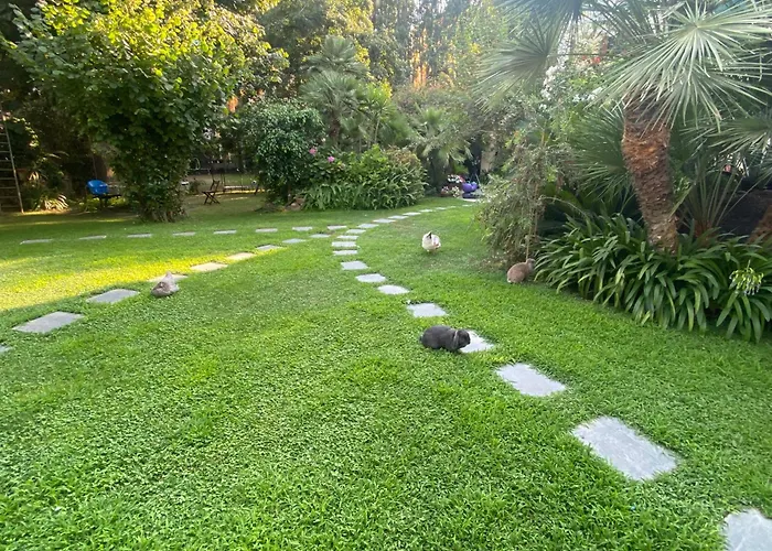 Angelina Homes I Casa Limone I 5 Minuti A Piedi Dal Mare I Giardino I Parcheggio Privato * Vallecrosia