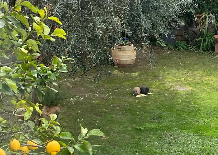 Angelina Homes I Casa Limone I 5 Minuti A Piedi Dal Mare I Giardino I Parcheggio Privato Διαμέρισμα Vallecrosia