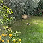 Angelina Homes I Casa Limone I 5 Minuti A Piedi Dal Mare I Giardino I Parcheggio Privato Apartmán Vallecrosia