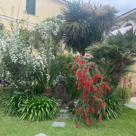 Villa Angelina Holiday Homes I Casa Limone I A Pochi Chilometri Da Sanremo E Il Suo Festival I Giardino I Parcheggio Privato Apartment Vallecrosia